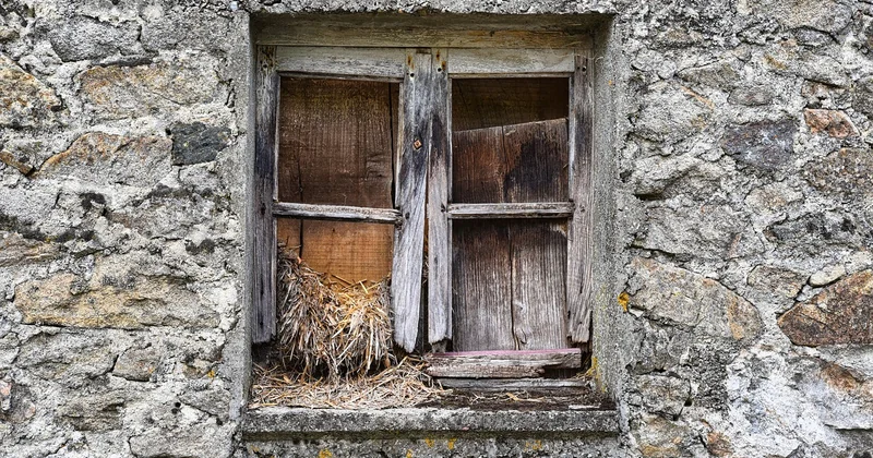 Châssis neuf : ce que vous payez, ce que vous gagnez